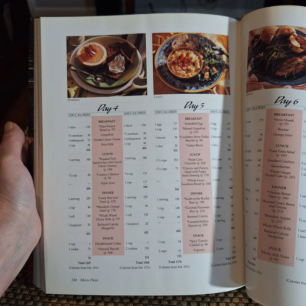 Cooking Light Cookbook 1996 The Way To Wellness